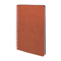 AKYURT TABA SPİRALLİ TARİHSİZ DEFTER (13X21 CM)